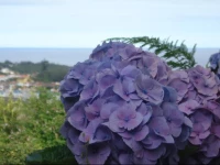 Milicias Beach House