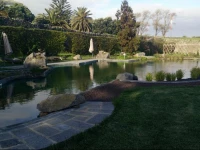 Quinta do Bom Despacho