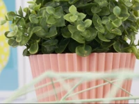 BurgГЈes Apartment