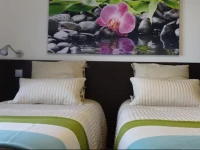 Live, Love & Feel Porto