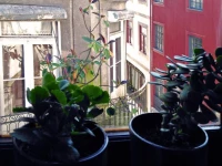 Mercadores Apartment 186