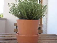 ML 288 - Porto Baixa