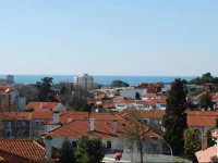 Porto Serralves Apartment