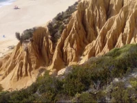 Travel & Visit Oporto Hostel