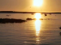 Apartamento Vila da Mata