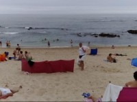 Estudio Vasco da Gama