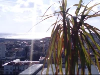 PanoramicPlace Premar