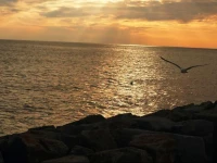 Diogo CГЈo Apartment