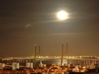 Apartamento TerraГ§os da Ponte