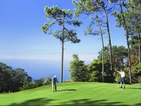 One-Bedroom Apartment Sao Goncalo 2