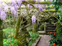 SГЈo Miguel Guest House