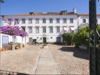 Conde de Ferreira Palace