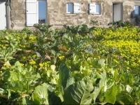 Casa da Praia em Valadares