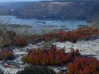 Suite Room - Sea vew