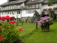 Pensiunea Cerbul Carpatin