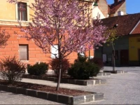 Old City Mary Apartment