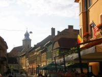 Ingerul Auriu Studio