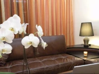 GrandVille Apartments