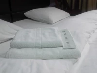 Lions Studio Dristor