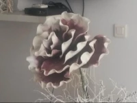 Apartament Vivando Unirii