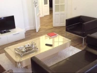 Central Art Apartment