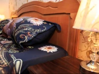 Joyful Old City Apartment