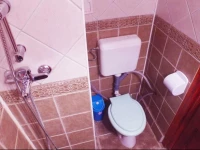 The Orchid Studio in Old City