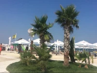 Apartament YlГ©nia