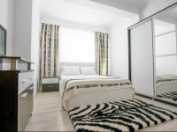 Solid House Aurel Mamaia