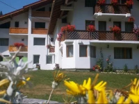 Pensiunea Padurea Verde 3*