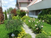 Garsoniera Dolce Vita