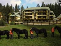 Aparthotel Casa Viorel