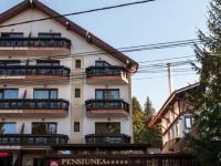 Pensiunea Carpatic