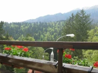 Hotel Piatra Soimului