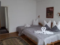 Pensiunea Vila Gabriel