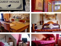 Atticus Central Guest House