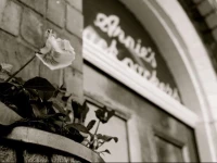 Arnies Backpackers 2*