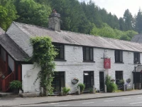 Dragon Bed and Breakfast