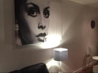 The Glasshouse Apartment