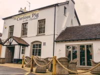 The Curious Pig in the Parlour