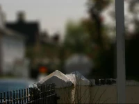 Hamilton Court Guest House