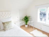 The Little Penthouse