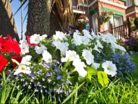 The West Bank Guest House