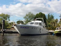 Hampton Court Motor Yacht