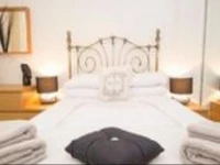 Edinburgh City Flat with Garden