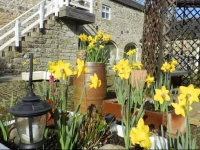 Falstone Farmhouse & Barns