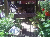 Binniemyre Guest House