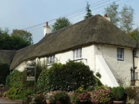 Wellington Farm Guesthouse and Tea Room