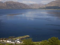 Hollytree Hotel and Swimming pool