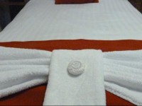 Cocoon @ International Inn